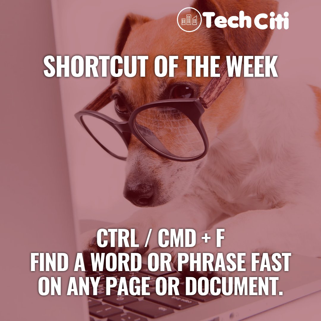 TechCiti Kids tweet media