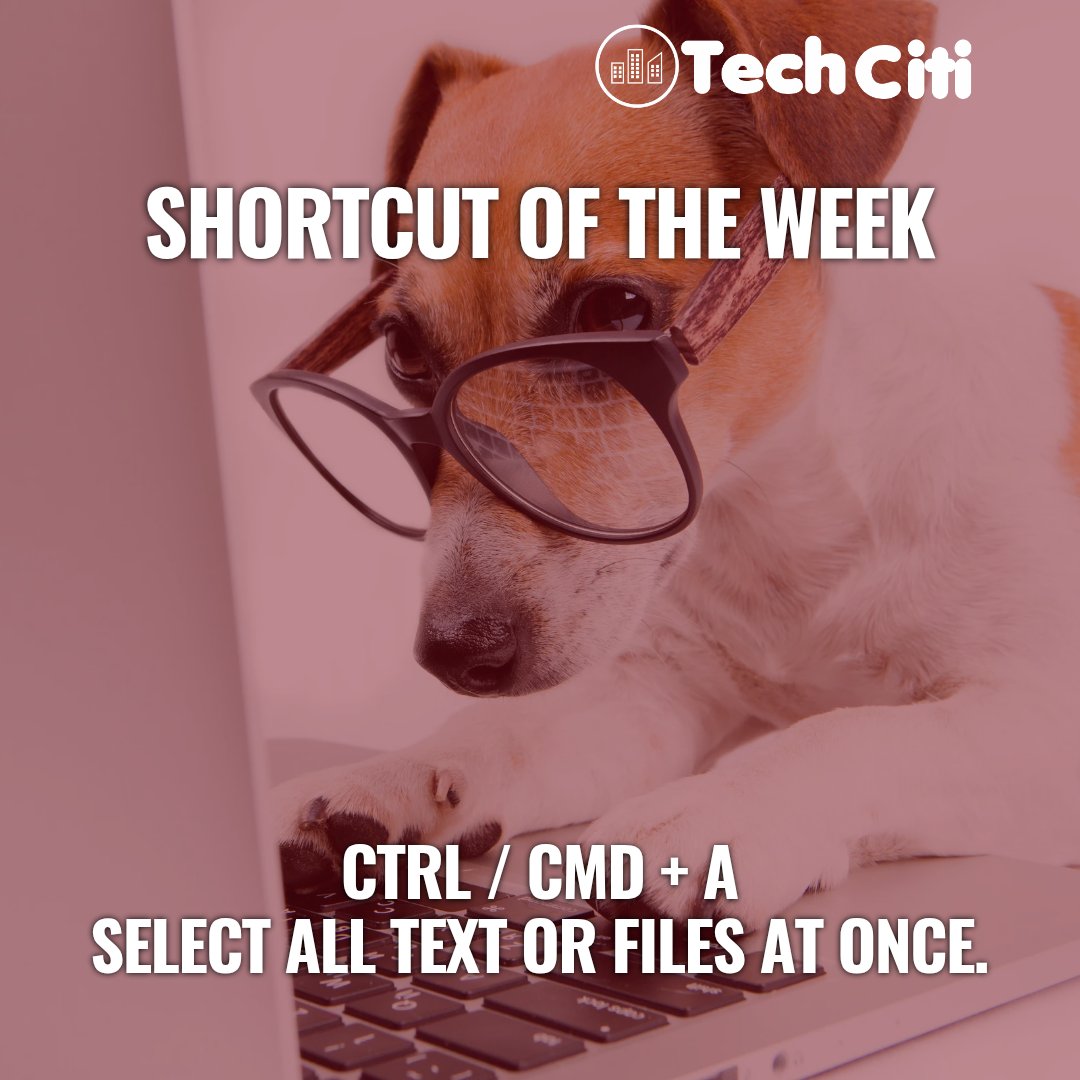 TechCiti Kids tweet media