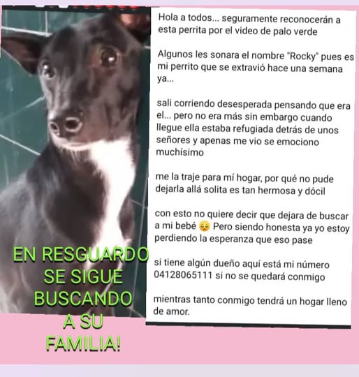 Caracas Busca su familia