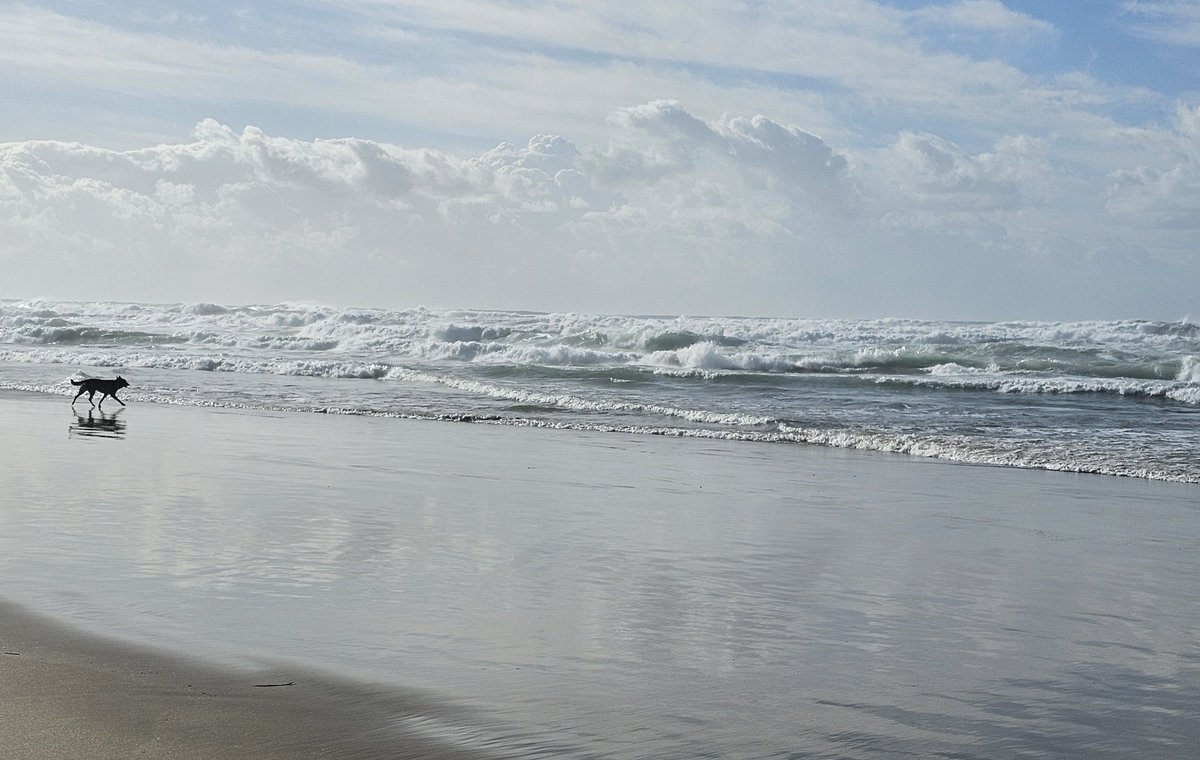 הים קצת כועס היום