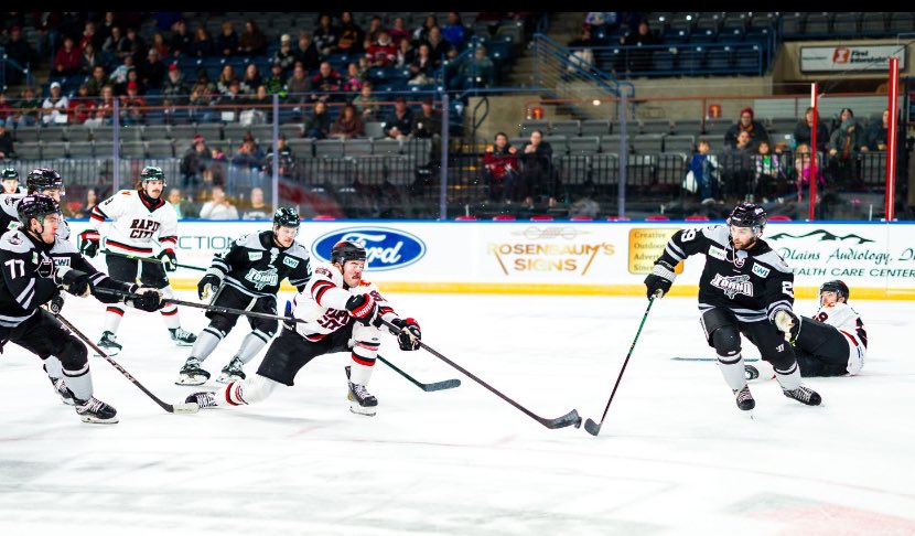 Lisa Steinmetz tweet media