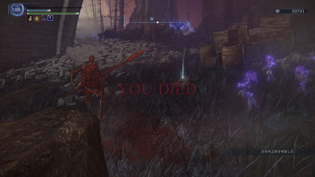 #エルデンリングナイトレイン
炎を呼ぶ獣を撃破した（してない）
なんだこの害獣………