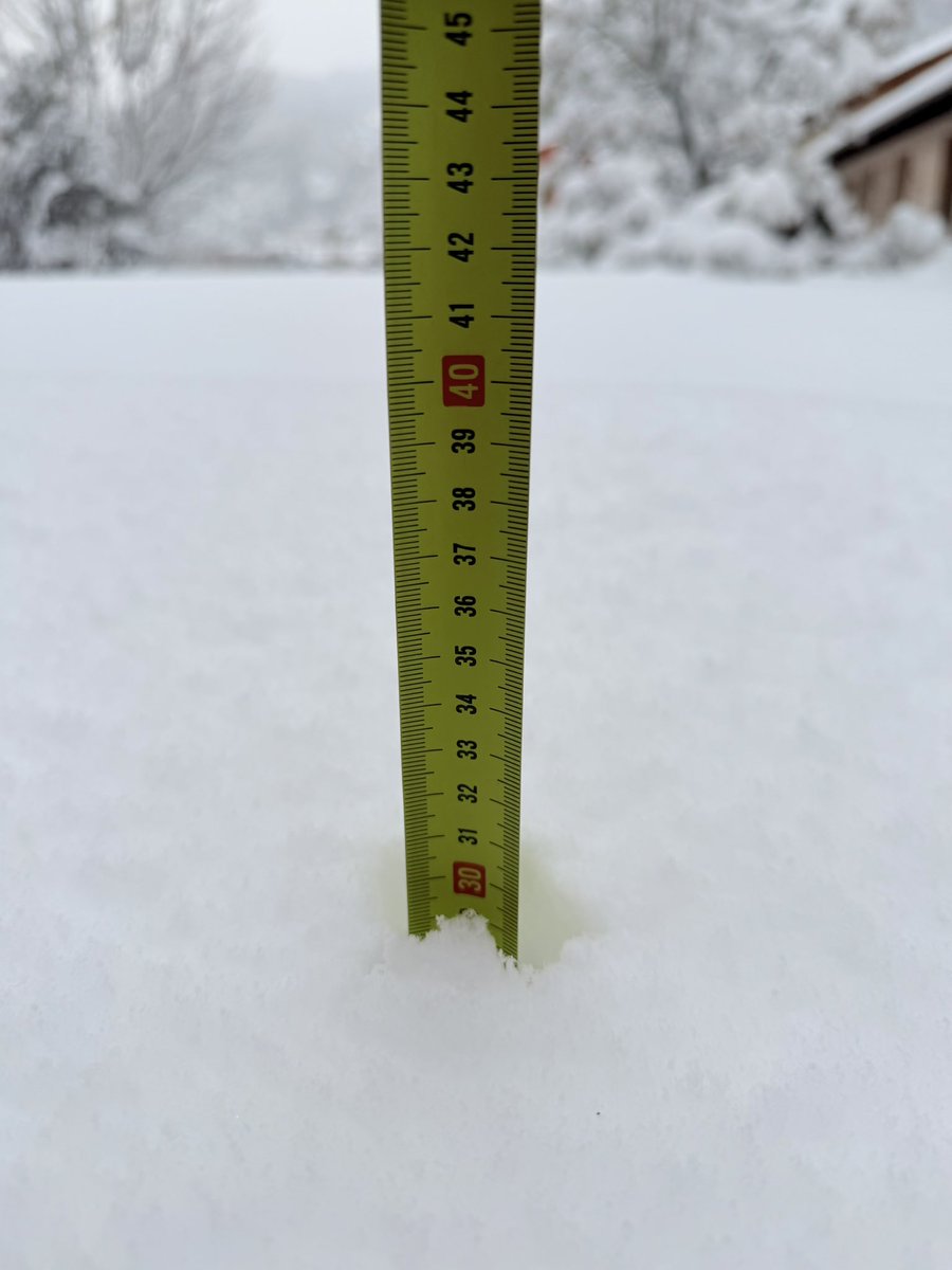 Albert Batalla i Siscart tweet media