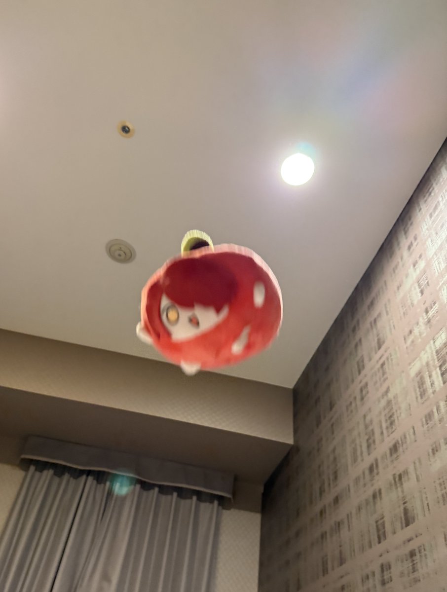 mstttsui's tweet image. 今これ