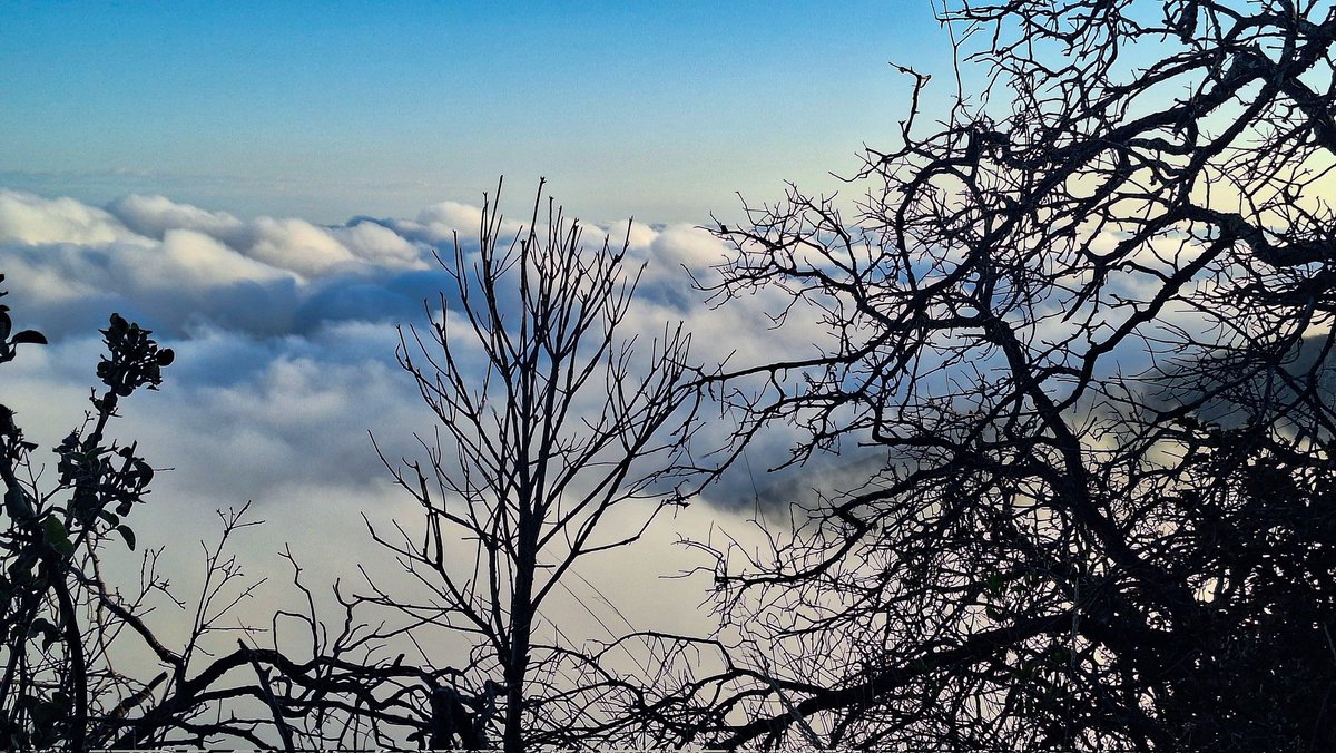Todos Somos la Sierra de San Miguelito tweet media