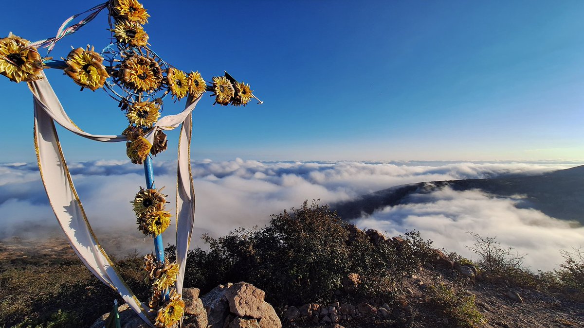 Todos Somos la Sierra de San Miguelito tweet media