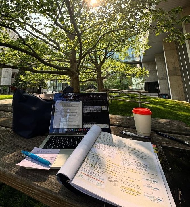 ⋆.˚els˚.⋆ tweet media