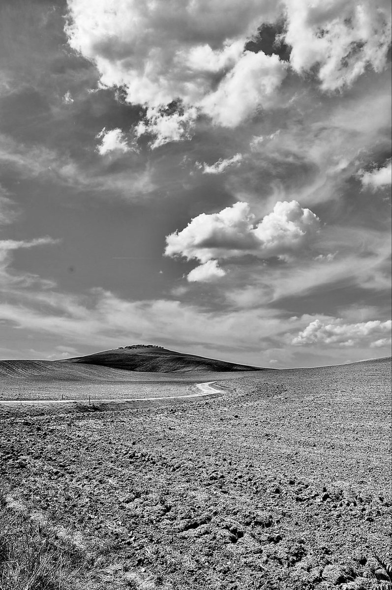 #LaSolitudineÈUnPostoAffollato #SalaLettura 

L’uomo disingannato, stanco, espero, esaurito, di tutti i desideri, nella solitudine, a poco a poco si rifà…..

LEOPARDI