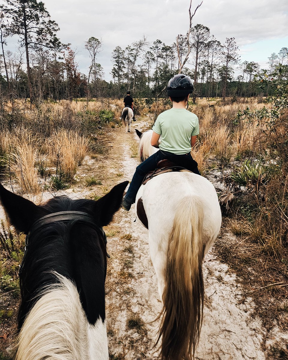 Andrew Hopper tweet media