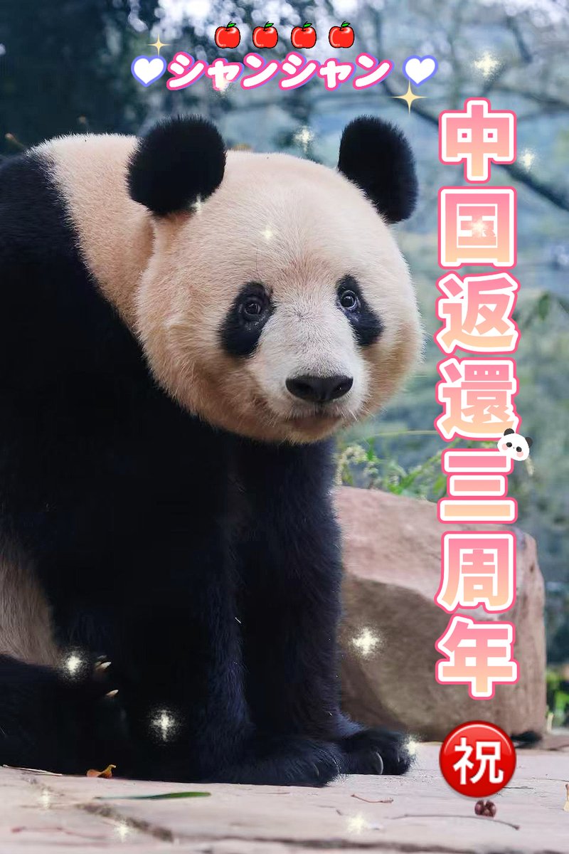 pandakopanda (@panda_kopannda_) / Posts / X