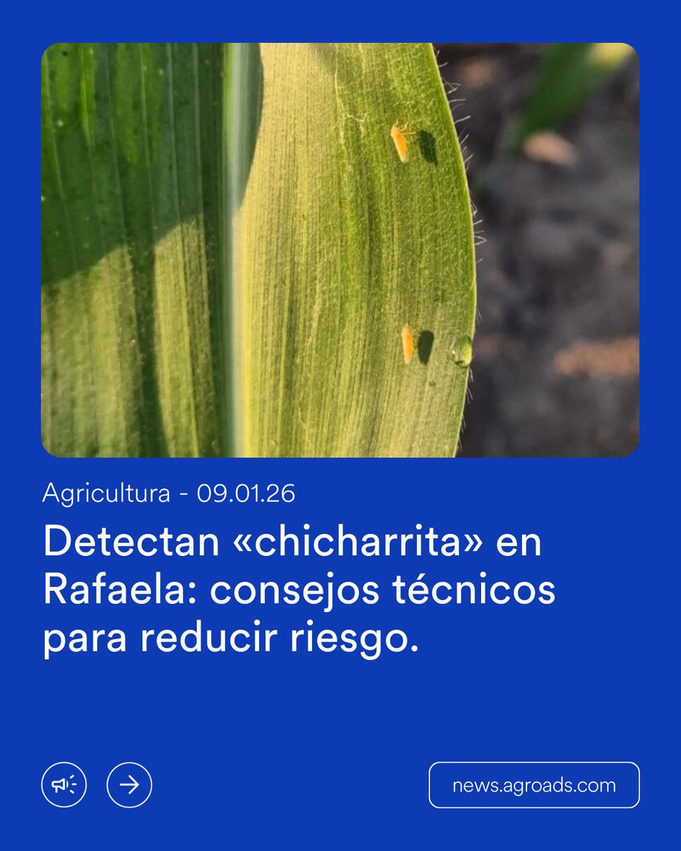Agroads's tweet image. Lo último del sector ya está en Agroads News.

Entrá al sitio y conocé la información completa: bit.ly/4brpPV1

#AgroadsNews #Agroads #NoticiasAgro #AgroArgentina #CampoArgentino #ActualidadAgro #AgroDigital #InfoAgro