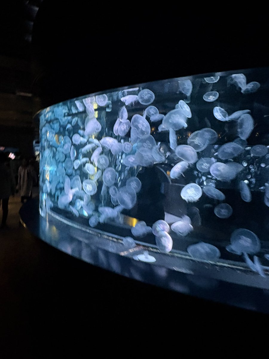 1年！！！いつもありがとう
これからもよろしくねだいすきだよ