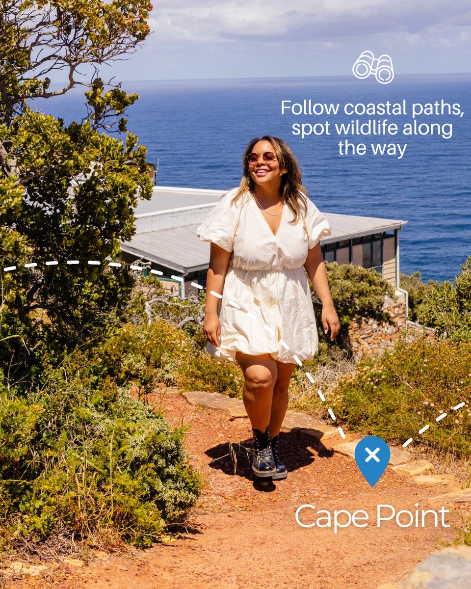 Cape Town Big 6 tweet media