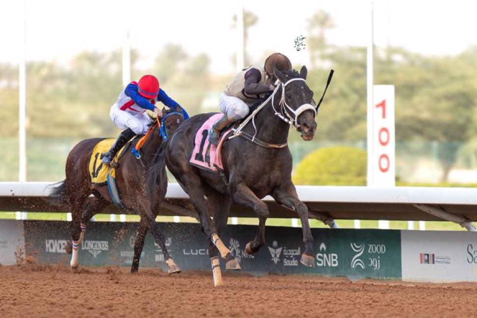 نتيجة الشوط الـ 1 الحفل ( 59 ) 
[ الخيل الرابحة انتاج محلي  0-1 فوز ]

الفائز:سله سيوف
المالك :عبدالسلام ابراهيم سليمان العريني
المدرب :عبدالله المنيف
الخيال :اليكسس مورينو
المسافة :  1200 متر
الزمن:01:15:97

#مباري_الخيل
#موسم_سباقات_الرياض