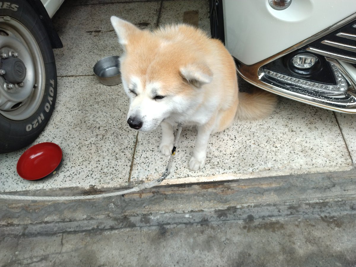 7KxJ6wfxVv85rEk @yurayuracrazym1 こっちのもも🍑ちゃん5歳もいい子