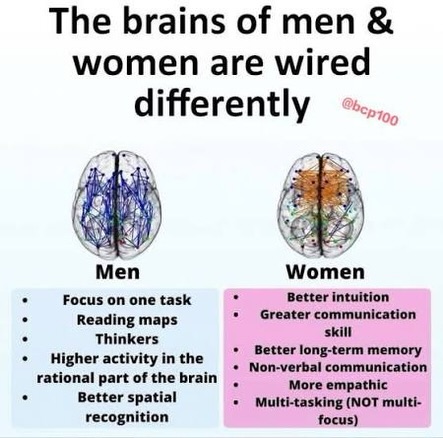 Heavy_Biscuits2's tweet photo. @Savvy_heretic @KnownHeretic The idea that♂️can somehow have "a♀️brain" is equally retarded to claiming "a♀️pancreas".

But 100% of evidence says their IS innate m/f neurog'l differences, like diff'nce in bones, or blood, or MOST body parts. 

Just not in a way where you can claim ONE part ♀️, others♂️, lol. https://t.co/MqtDucSsMd