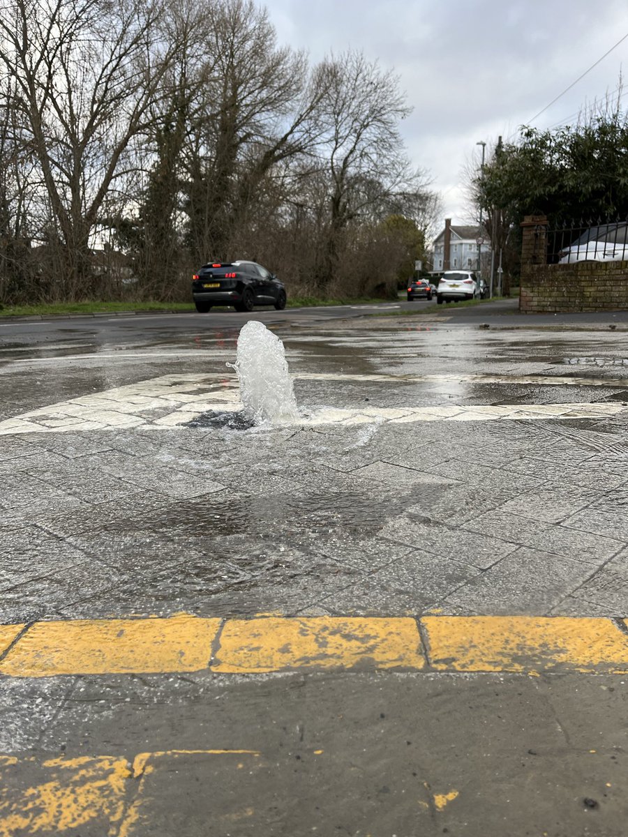 Jam Tomorrow tweet media