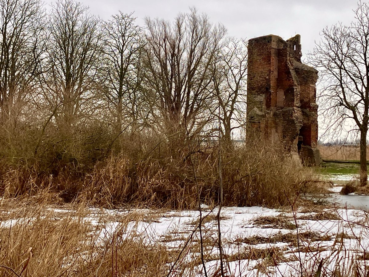 🖼️ 📸 🏰 Met twee camera’s geprobeerd het winters tafereel dat #AelbertCuyp in of rond 1655 vastlegde, te herhalen.

Anders dan ruim 3,5 eeuw geleden, is de ruïne nu goed bereikbaar. Toen alleen over water. En ijs, natuurlijk. 😀

#KasteelBijDordrecht #Merwede