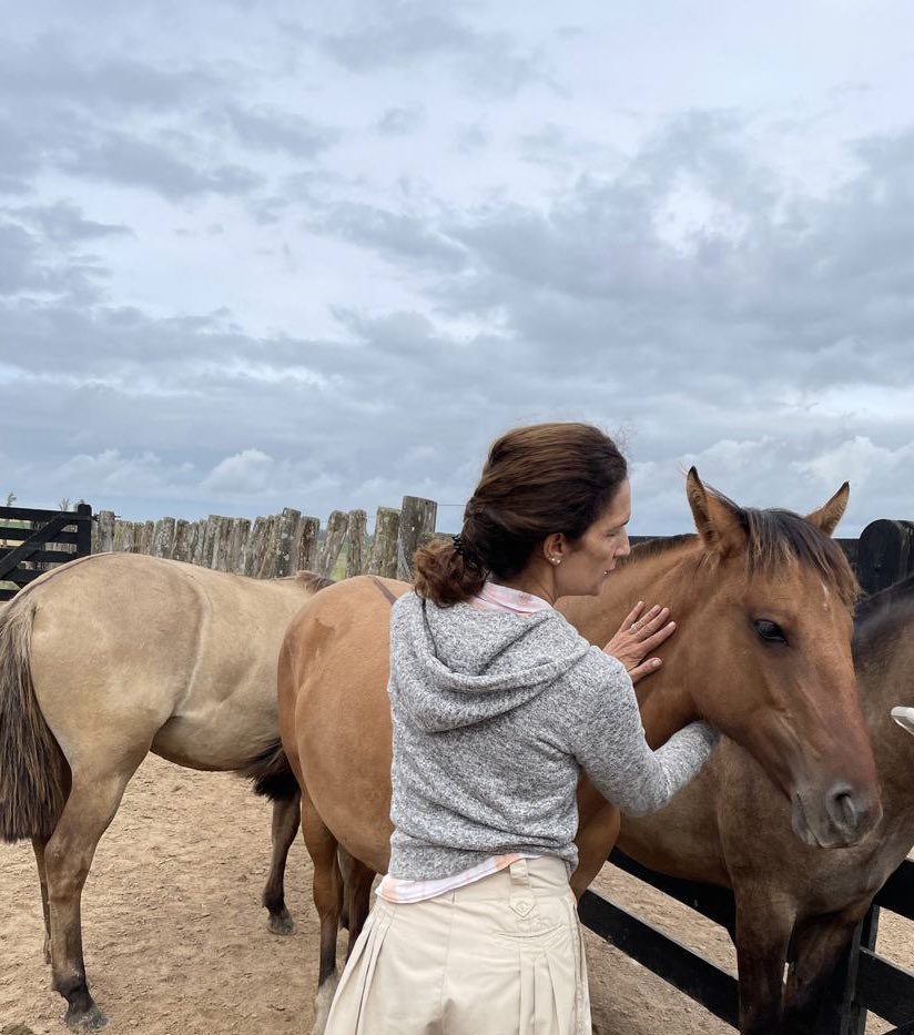 Labitori's tweet image. Las llevamos al corral y empezamos a hablarles y toquetearlas todos los días.