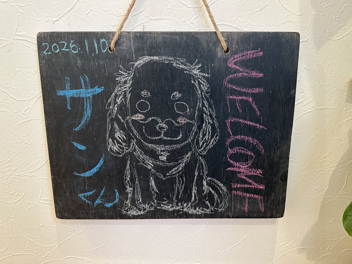 サンちゃん一家、2泊３日で淡路島上陸っ🚗‼️明石海峡大橋がすごすぎるー💦
宿泊は渚のリトリートロキデアワジシマさんにお世話になってます✨最高のお宿‼️今度詳しく紹介します❤️ウェルカムボードが可愛すぎる🥰
#ミニチュアダックス #淡路島 #明石海峡大橋 #渚のリトリートロキデアワジシマ #幸せ