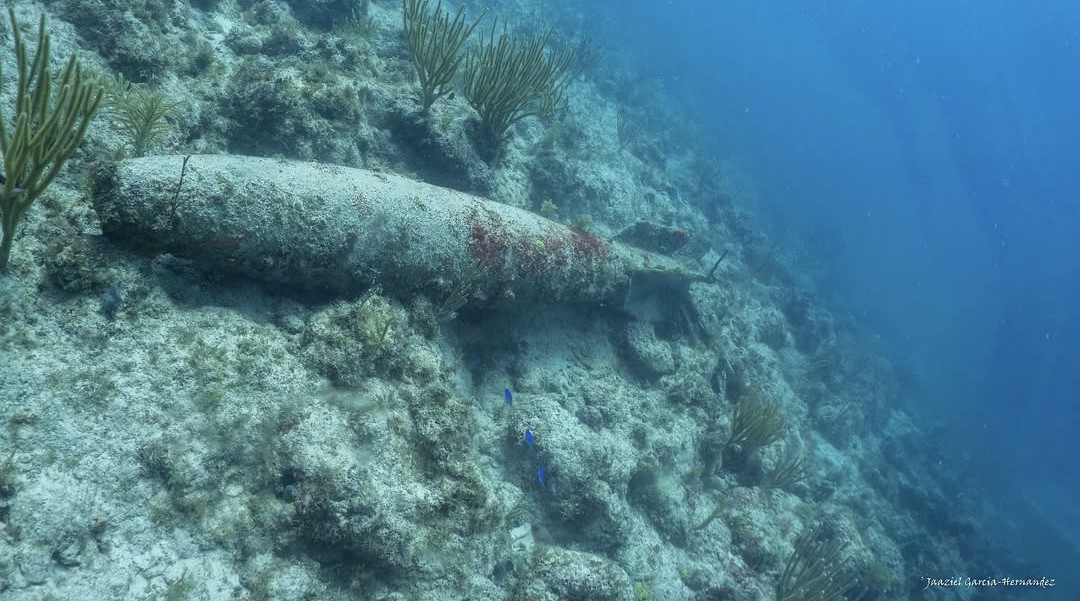 uw_explorer's tweet photo. Cientas de Bombas en nuestros Arrecifes Coralinos #PuertoRico .. Pueblo, despierte... despierte... Tengo muchas fotos.. y mucho que decir.. @uprm https://t.co/8XA6KU7mPm