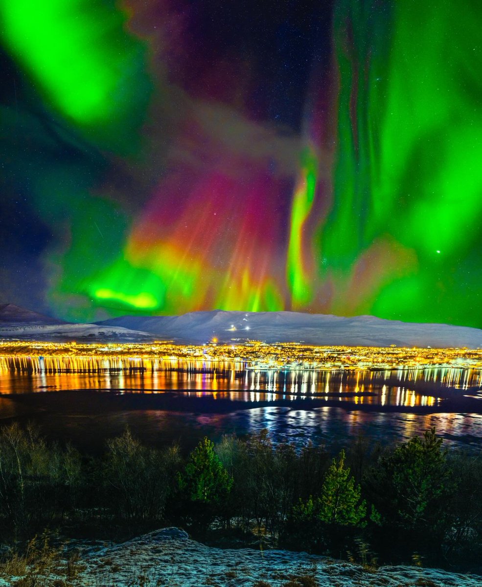 Chris430968's tweet image. Akureyri Iceland Northern Lights Bright Red Green Aurora Borealis City Skyline Reflections Winter
📷Elliot McGucken photography