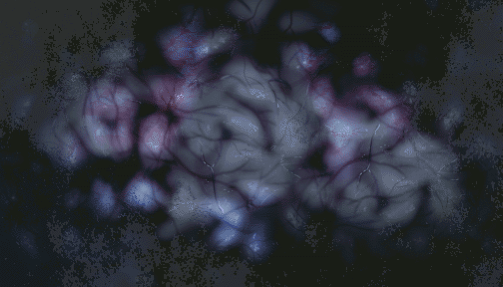 fif | VN Dev tweet media