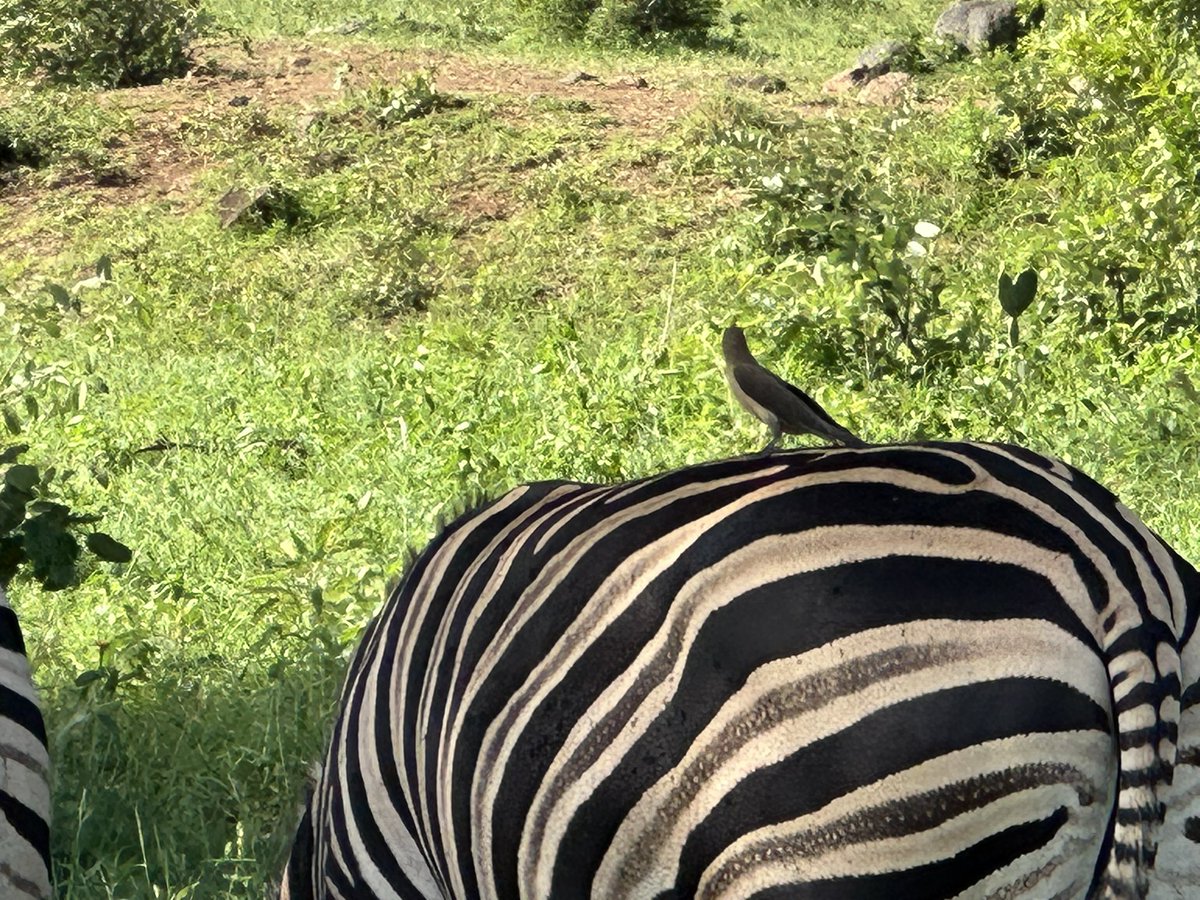 Kate Groch tweet media