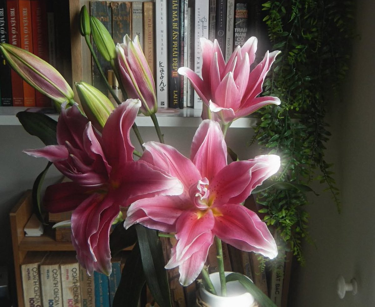 1leio's tweet image. 