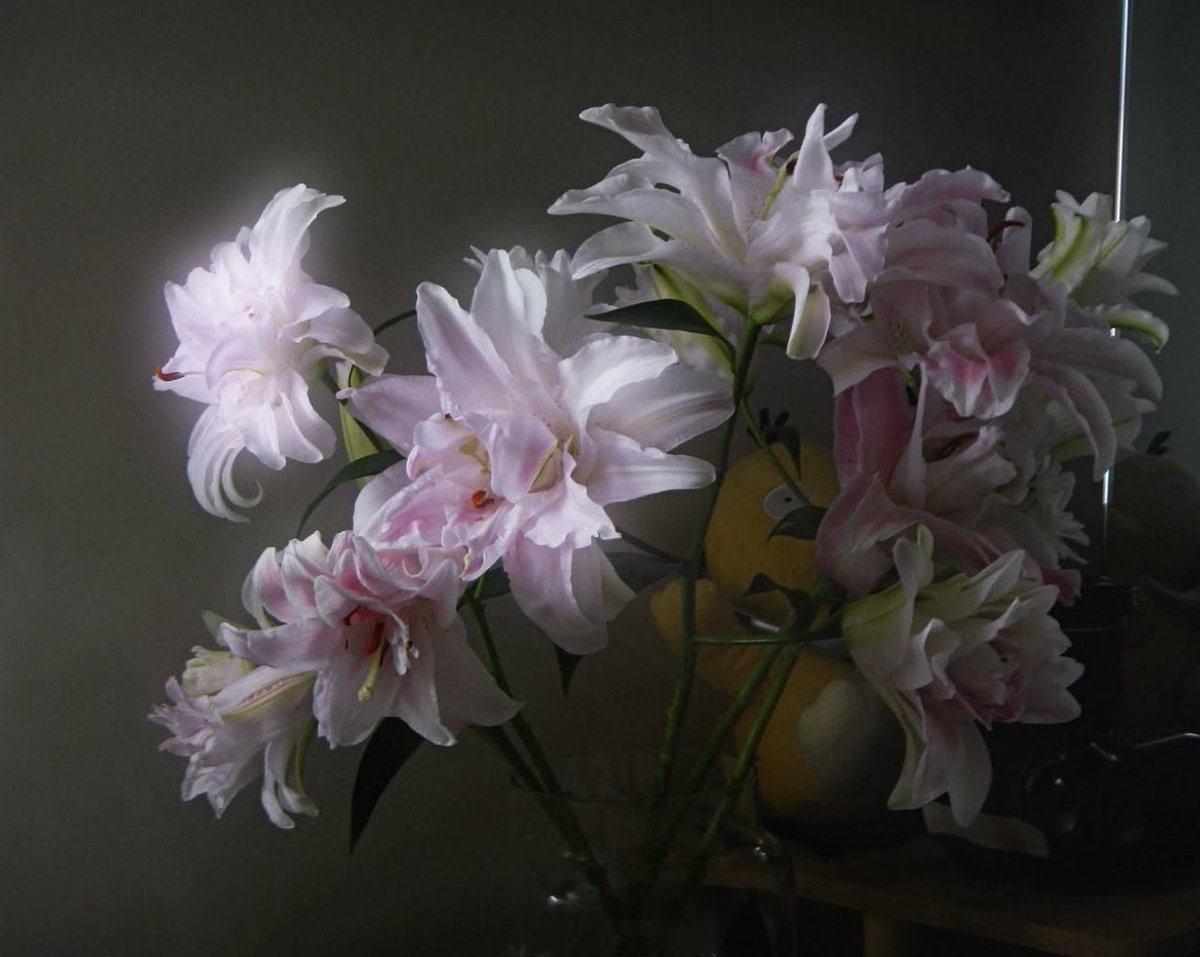 1leio's tweet image. 