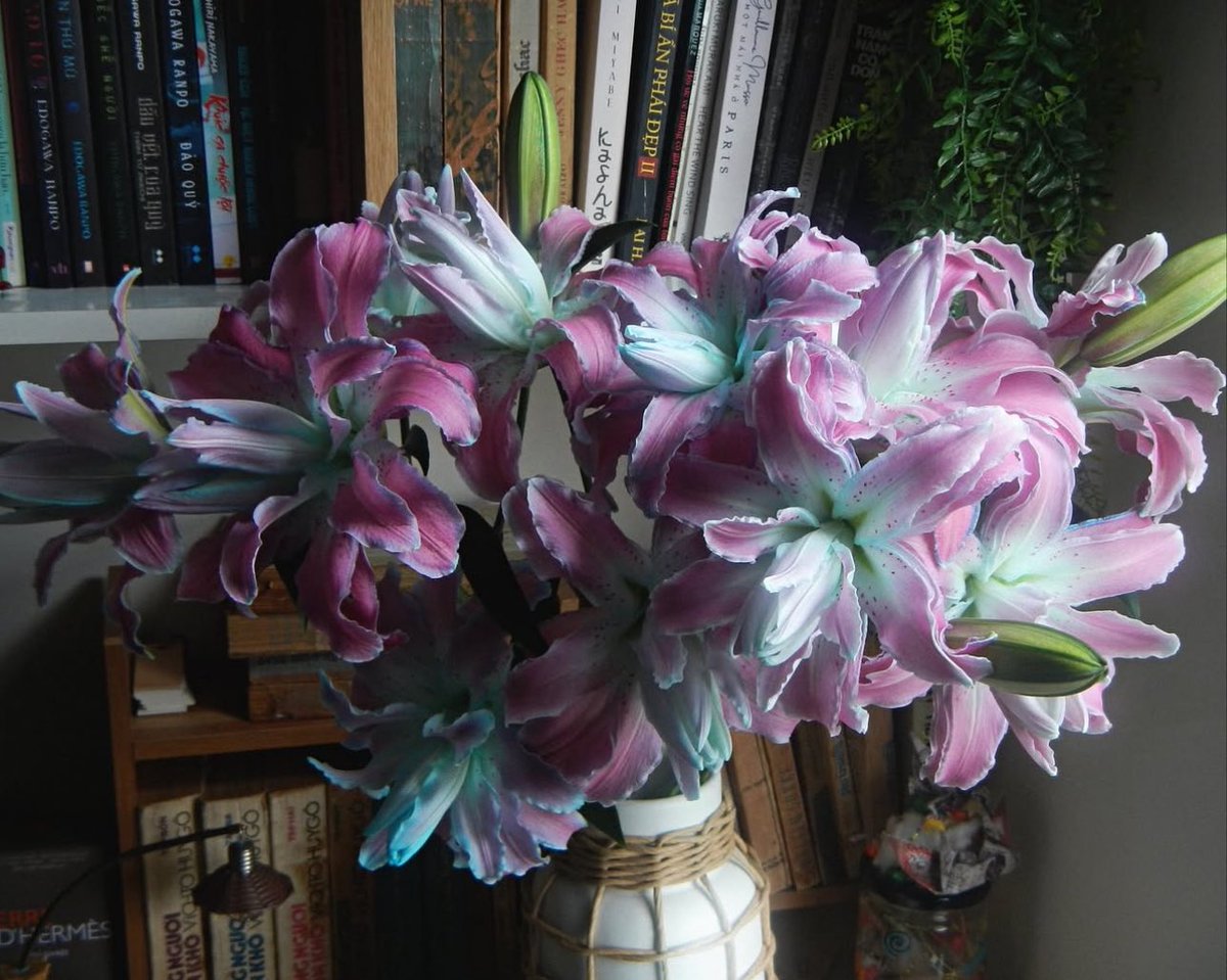 1leio's tweet image. 