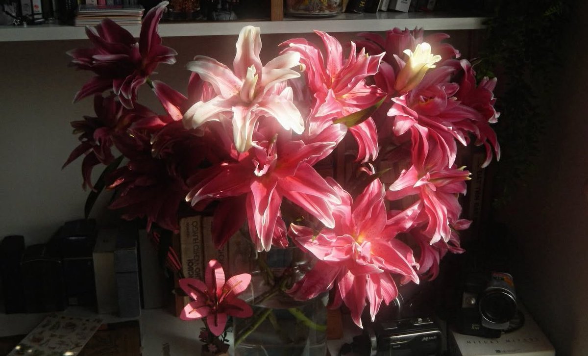 1leio's tweet image. 