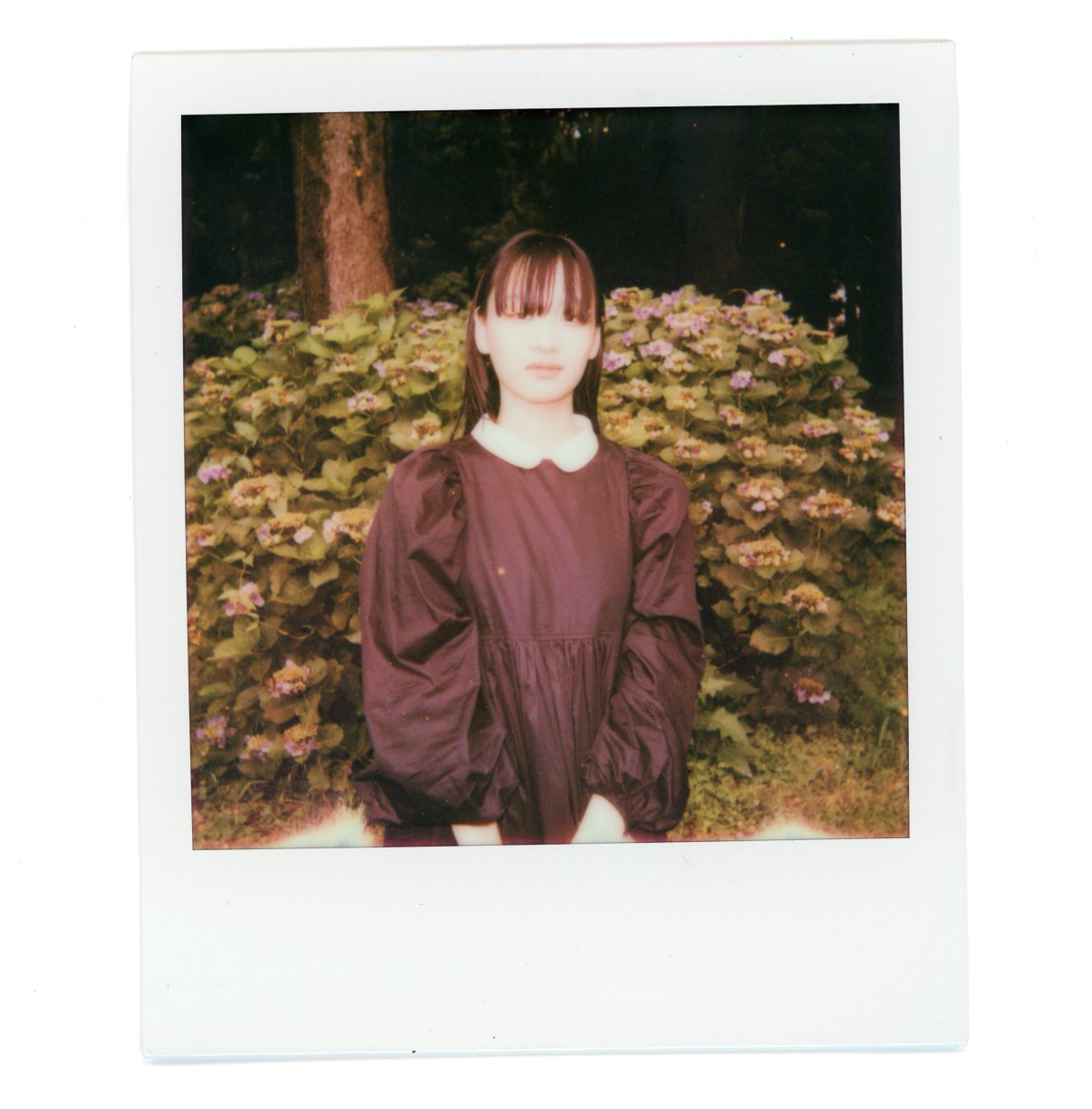 おしらせ

活動を再開します！

すこやかに、じぶんのだいじなものをだきしめていたいです。歌がすきです。ときめきたいし、沢山ひとにであいたいし、ゆっくり、わたしのすきな、どろどろできらきらしたかわいいものを沢山つくりたいです。

どうぞ今後ともごひいきに、よろしくお願いします🌝🤍