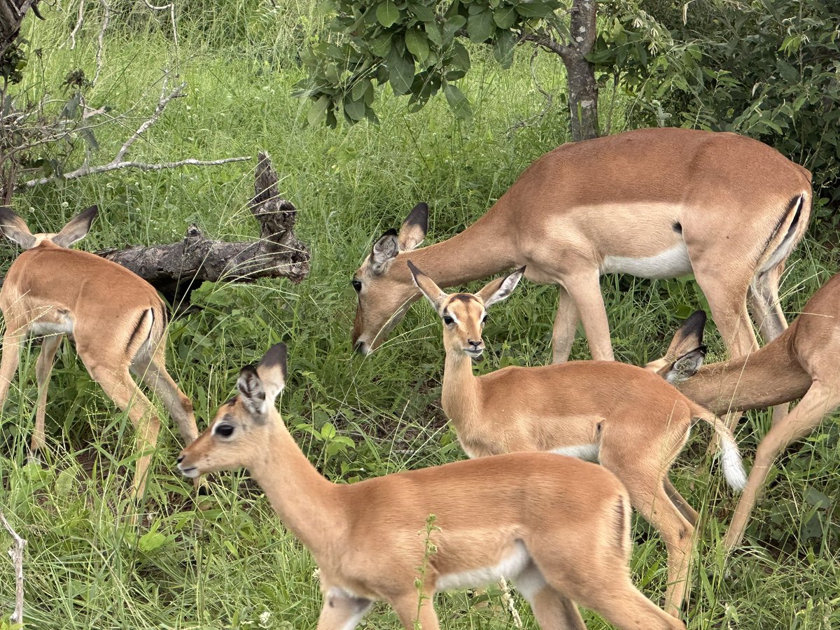 Kate Groch tweet media