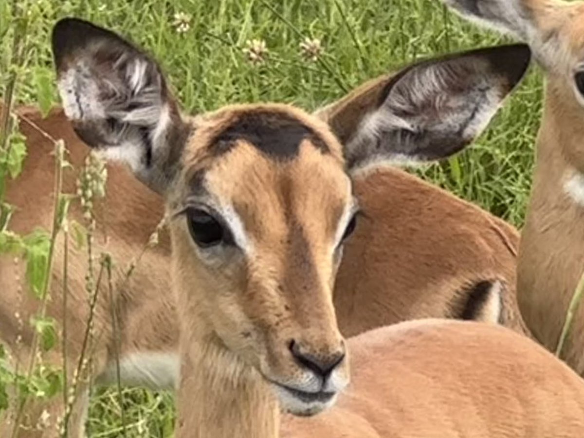 Kate Groch tweet media