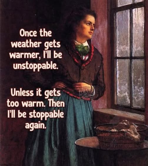 woofknight's tweet image. 