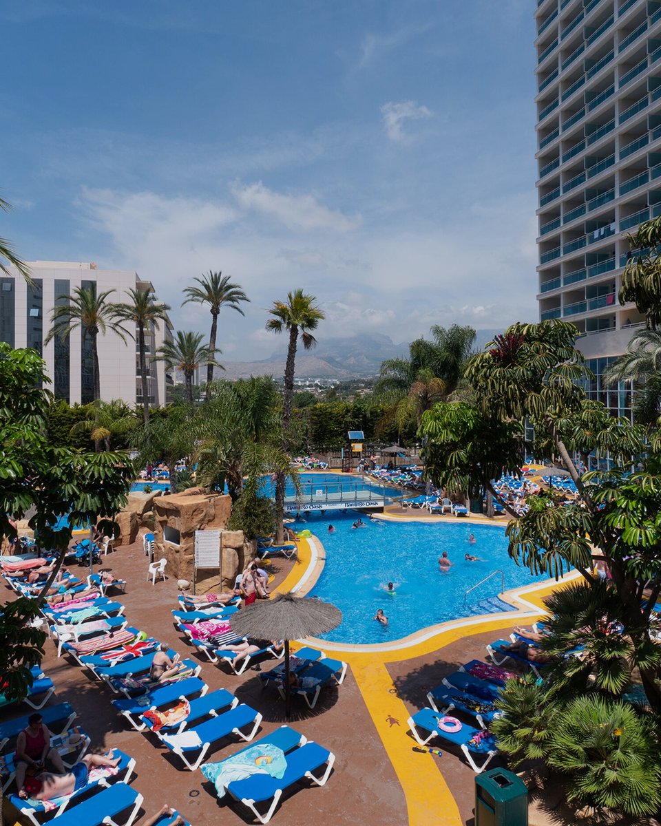 ¿Playa, piscina, relax y diversión? 🌴 El MedPlaya Hotel Flamingo Oasis lo tiene todo para que tu próxima escapada a Benidorm sea inolvidable.

Reserva con el código BOXING15 antes del 31 de enero y disfruta de un 15% de descuento