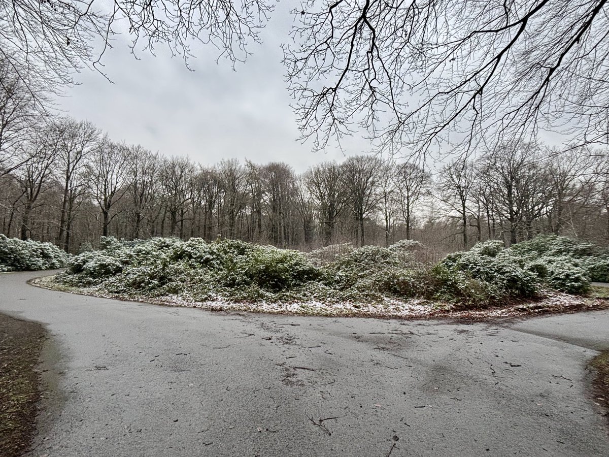 EddyMisman's tweet photo. #vrtweer @BuienradarBE @HetweerinBelgie Beernem 13u00 #lsdloopje🏃♂️ https://t.co/2rAfRN5wB7