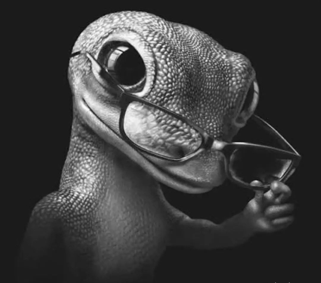 evilsaur's tweet image. 