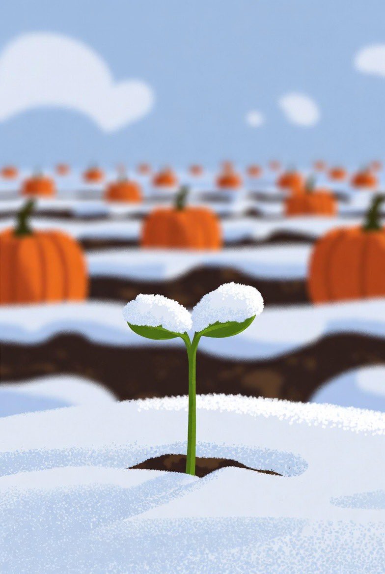 PUMPKIN ($PUMP) tweet media