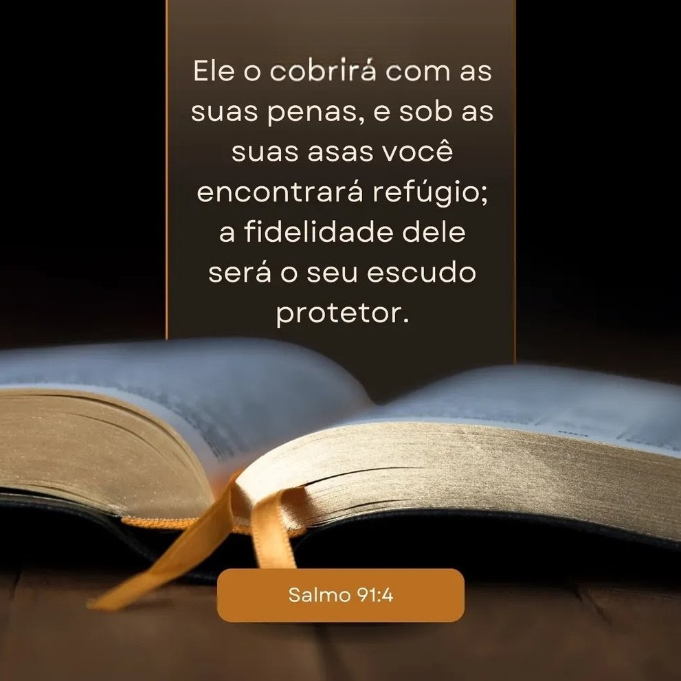 PROVÉRBIOS | Pratique o bem hoje, image size:991x991