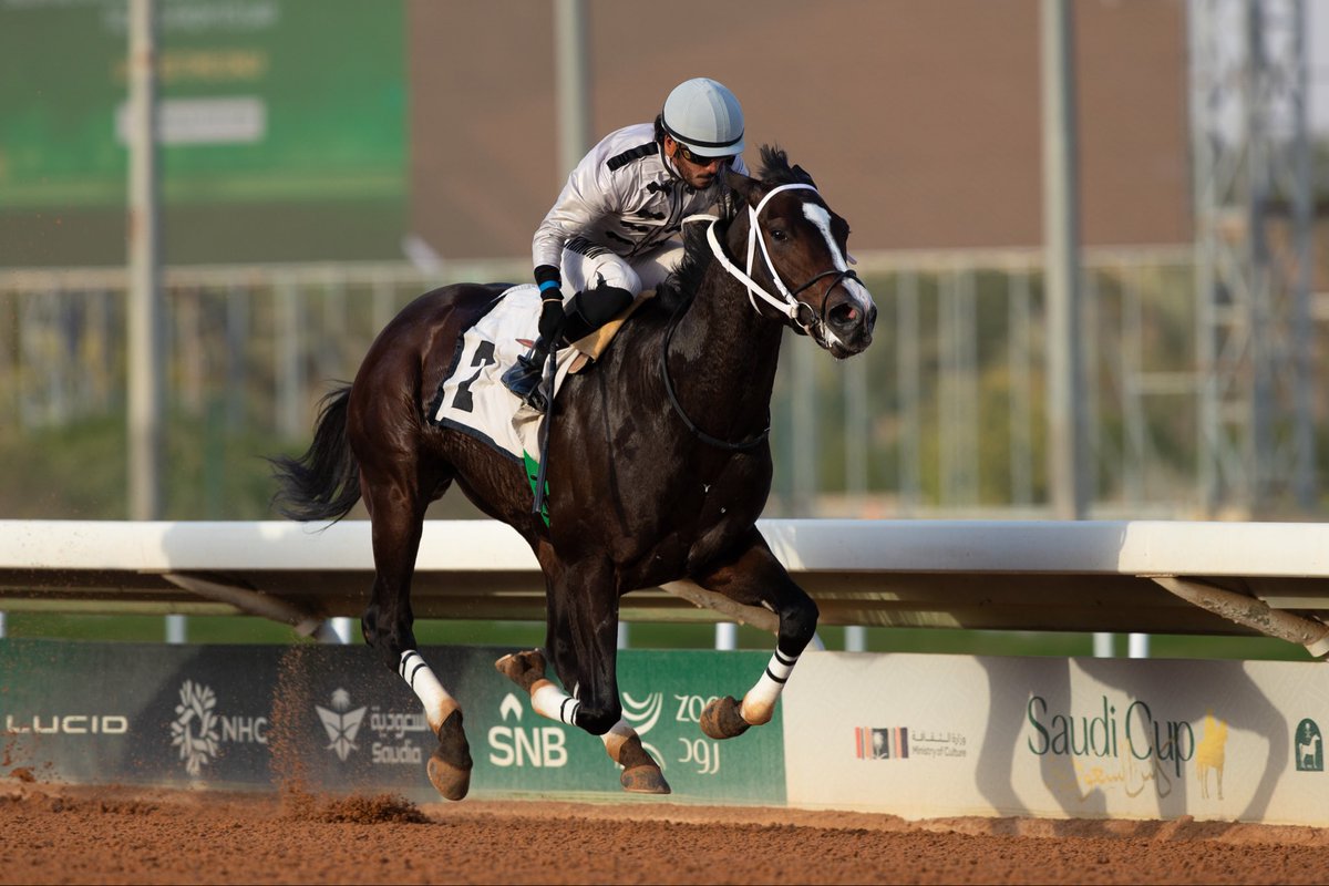 نادي سباقات الخيل tweet media