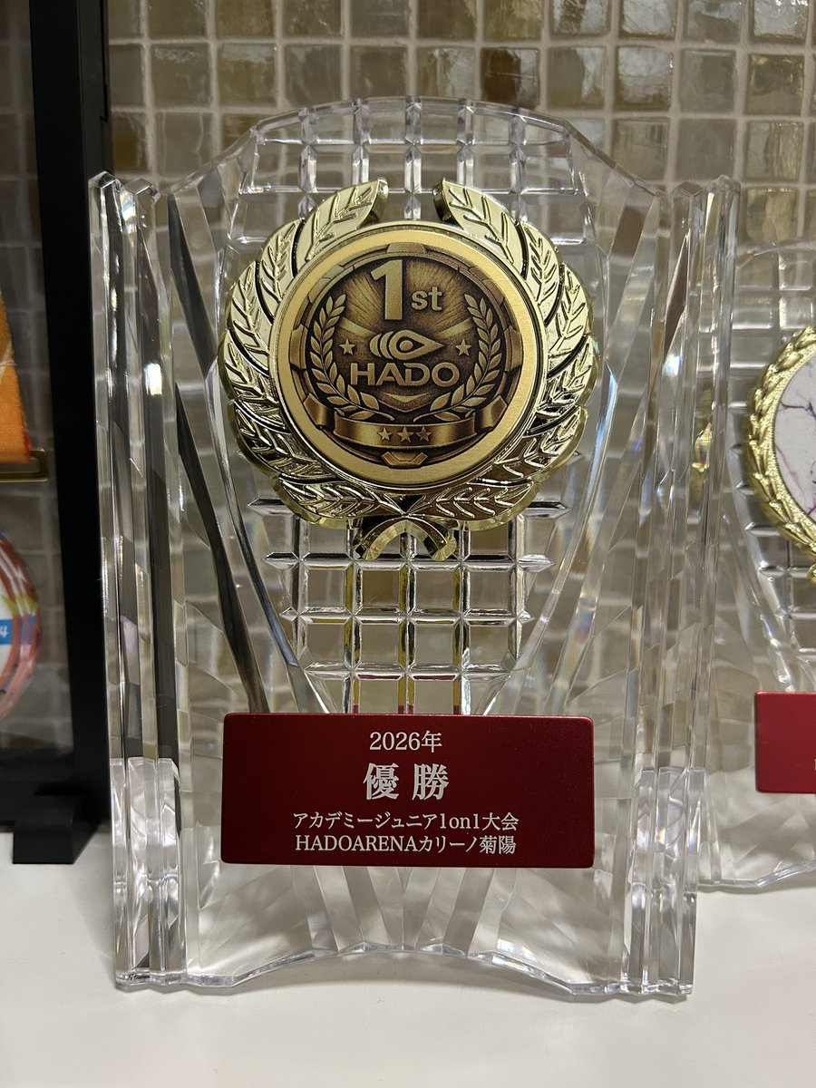 N*e様 ☘️入手困難☘️長期保有株☘️❤️しっかりプックリ新芽❤️634⭐️超 ᴾˡᵃˢᵗⁱᶜ ᴾʳⁱⁿᶜᵉˢˢ, ˢᵗⁱᵗᶜʰᵉᵈ ᶠʳᵒᵐ ˢᶜʳᵃᵖˢ ᵃⁿᵈ