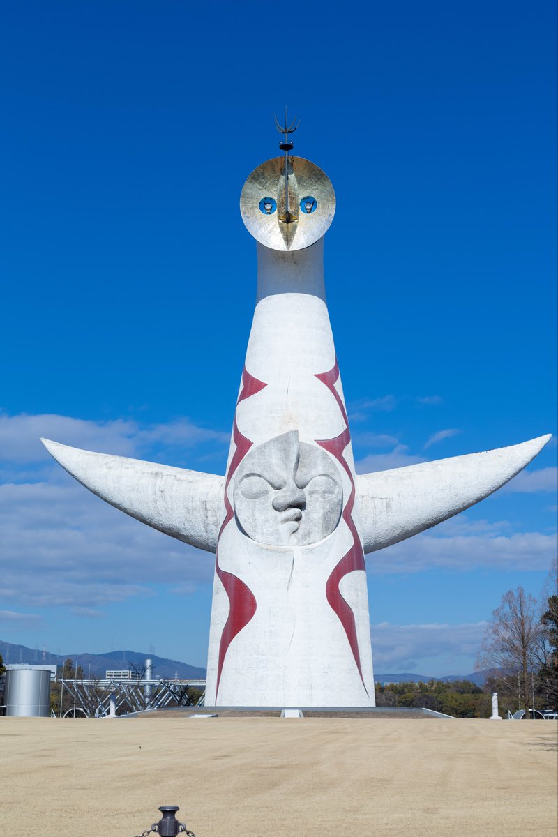 さきちゃ tweet media