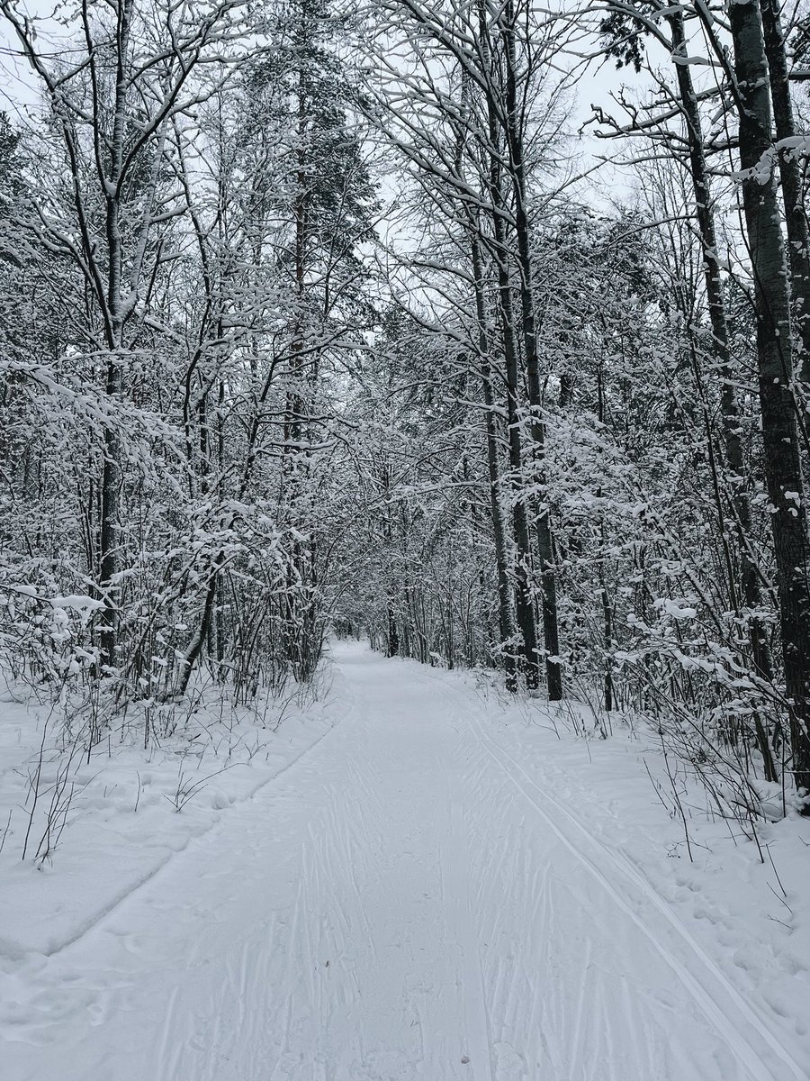 sofakental's tweet image. да, снеголюбы счастливы, отвалите