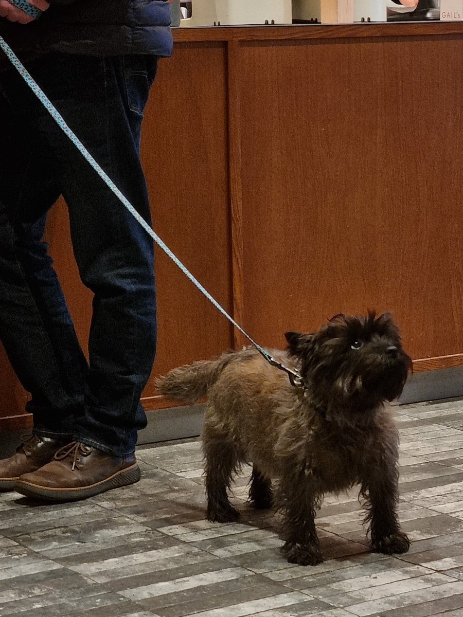 오늘 꼬질이들 많이 만나서 너무 행복했다