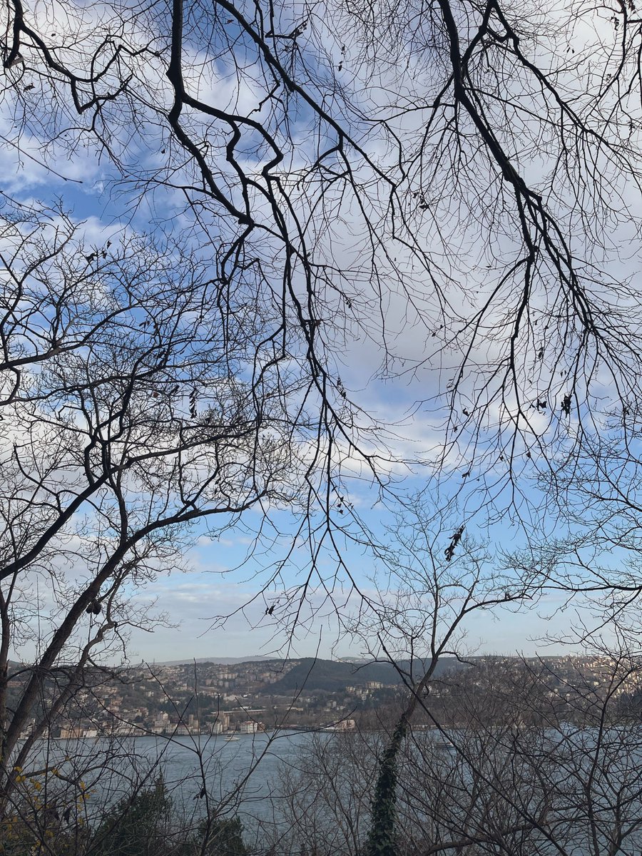 Kucakta kedi uyutma, çimler, sıcak çikolata, portakal suyu, deniz, gün 🎬