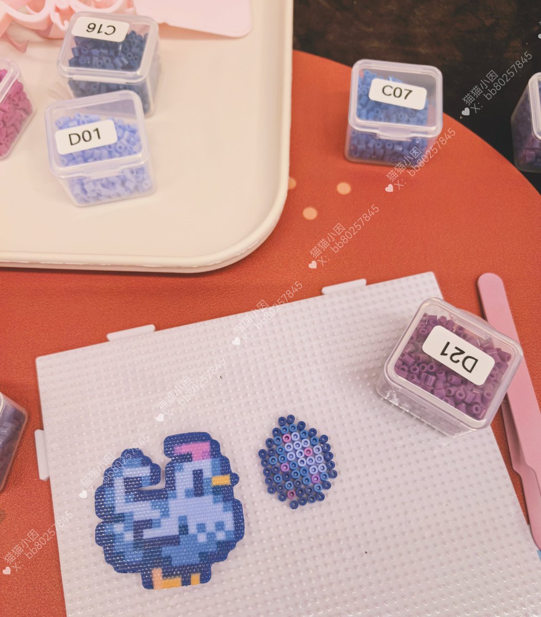 猫猫小因 tweet media