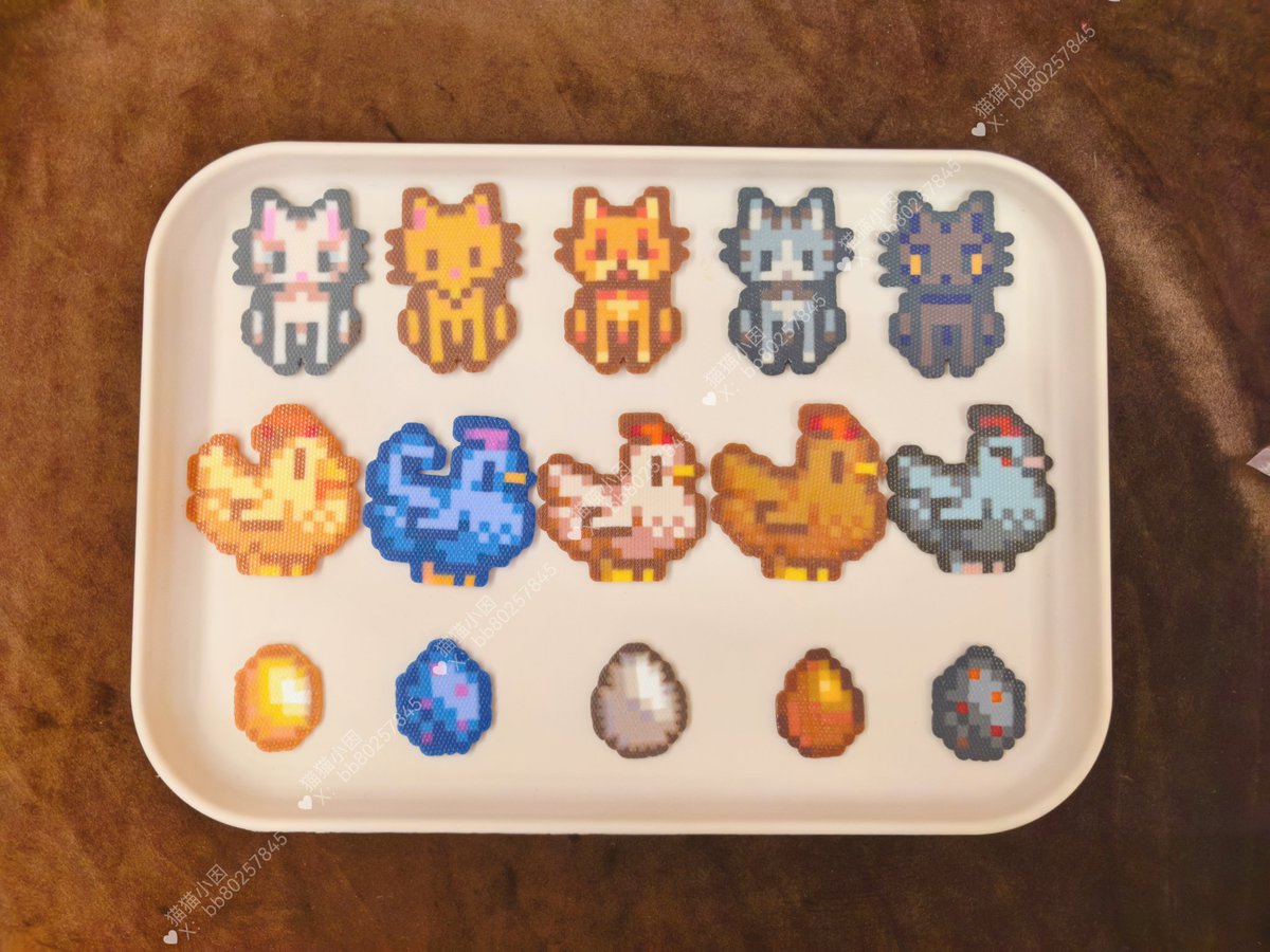 猫猫小因 tweet media