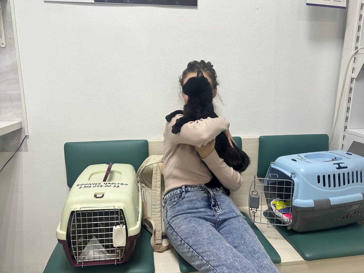 KoshacheZarstvo's tweet image. Сколько это может продолжаться? Выдержу ли я? Выдержат ли девочки помощницы волонтеры? Сегодня возили двоих, назад троих-забрали со стационара Мяту.
Завтра едут по клиникам еще двое. 
Вот что значит работать с кошками больше 11 лет, накопились старые и больные, здоровых забрали